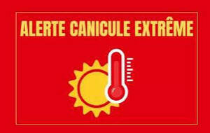 Suspension des cours